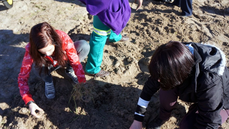 Mandela Day 2012: planting trees at Blikkiesdorp