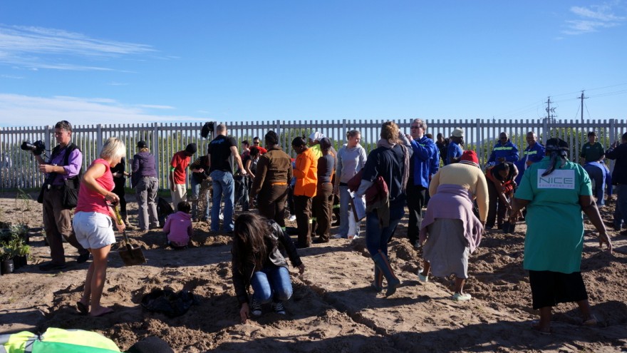 Mandela Day 2012: planting trees at Blikkiesdorp