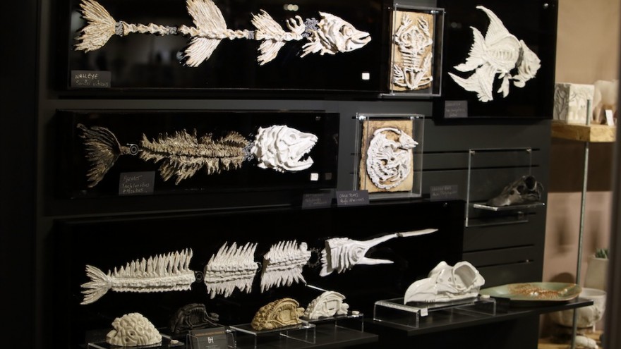 Barbara Hudson Ceramics 