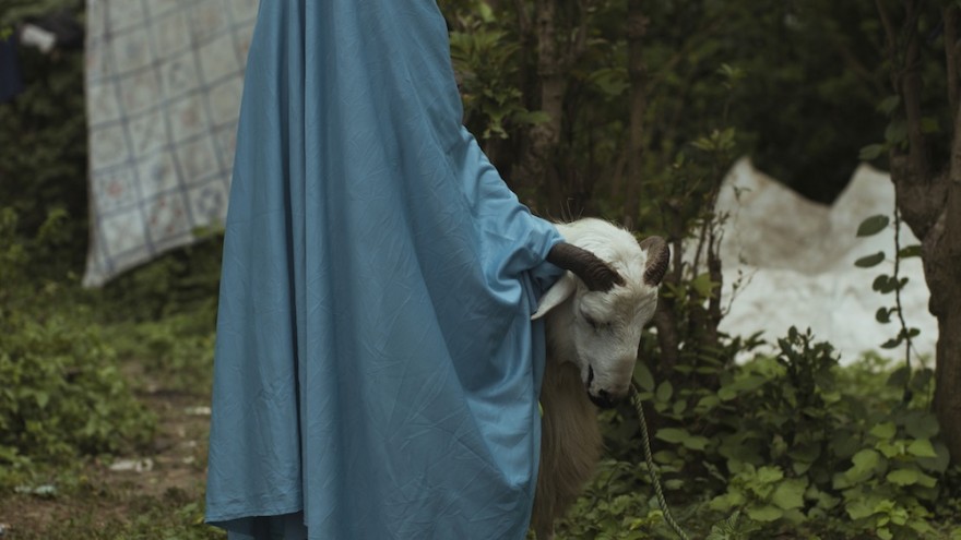 Cristina de Middel, Untitled, from the series This is What Hatred Did, 2014, 42 x 52.49 cm, Image courtesy of the artist and La New Gallery, Madrid.