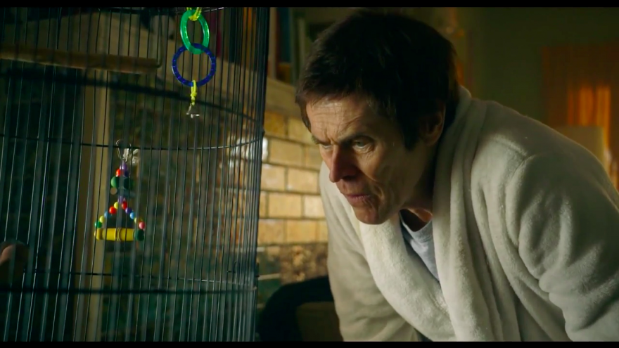 Saving Norman by Hanneke Schutte, starring Willem Dafoe. 