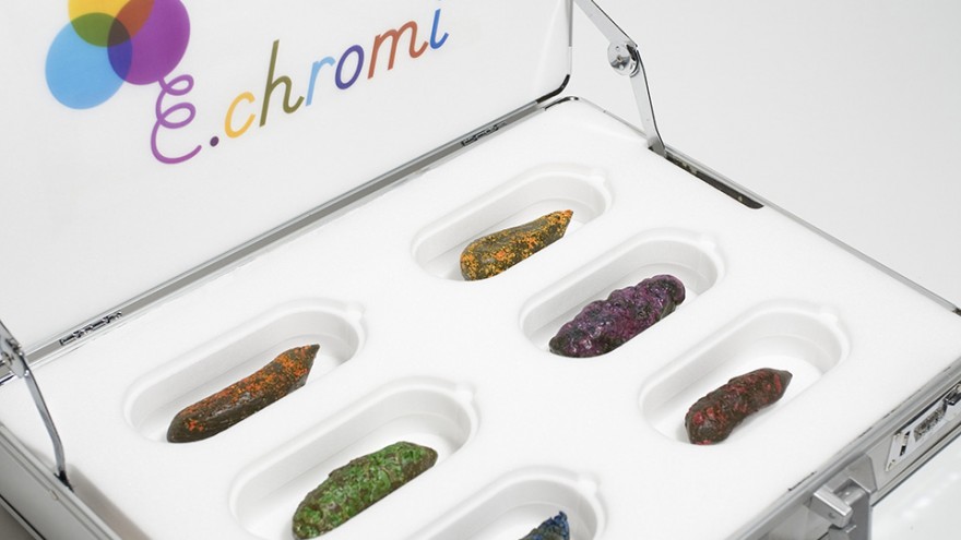 "GROW YOUR OWN..." exhibition: E.chromi by Alexandra Daisy Ginsberg. 