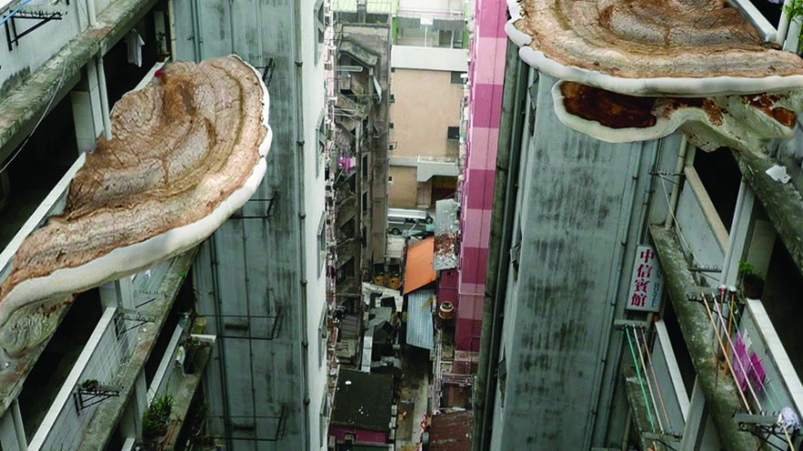 "GROW YOUR OWN..." exhibition: New Mumbai by Tobias Revell. 