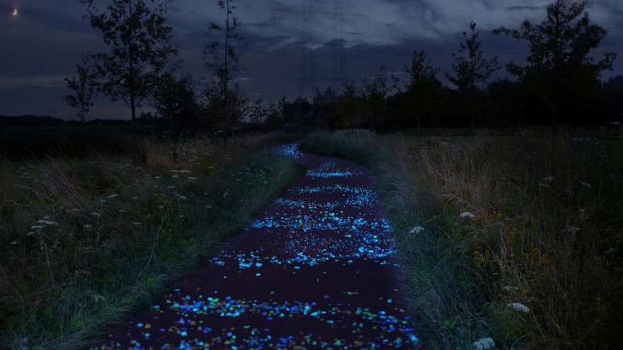 Van Gogh Bicycle Path by Daan Roosegaarde