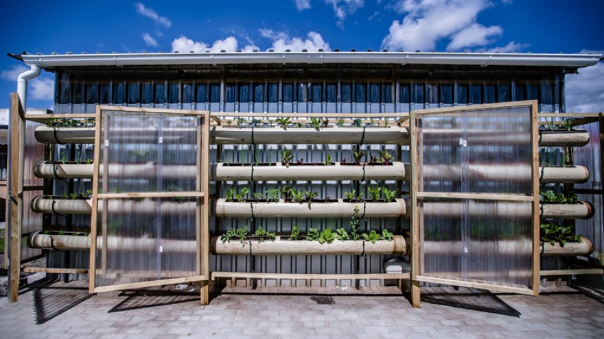 Vertical food garden at Gege crèche in Langa. Image: Sandy Greenway.