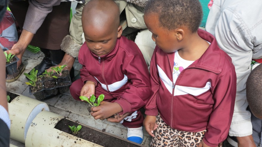 The children planting for the vertical food garden at Gege crèche in Langa. Image: Sandy Greenway.