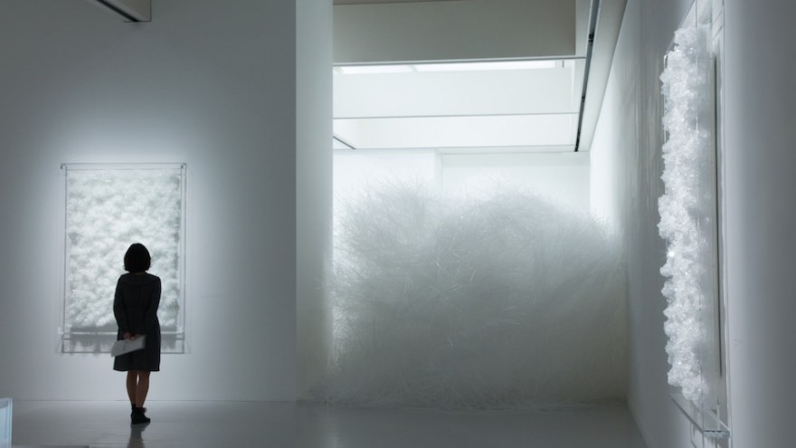Crystallize exhibition: Swan Lake by Tokujin Yoshioka. 