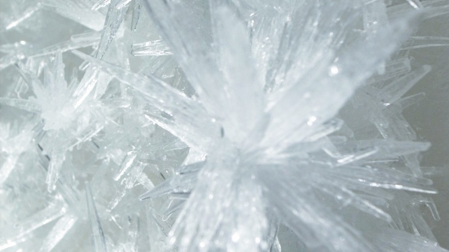 Crystallize exhibition by Tokujin Yoshioka. 