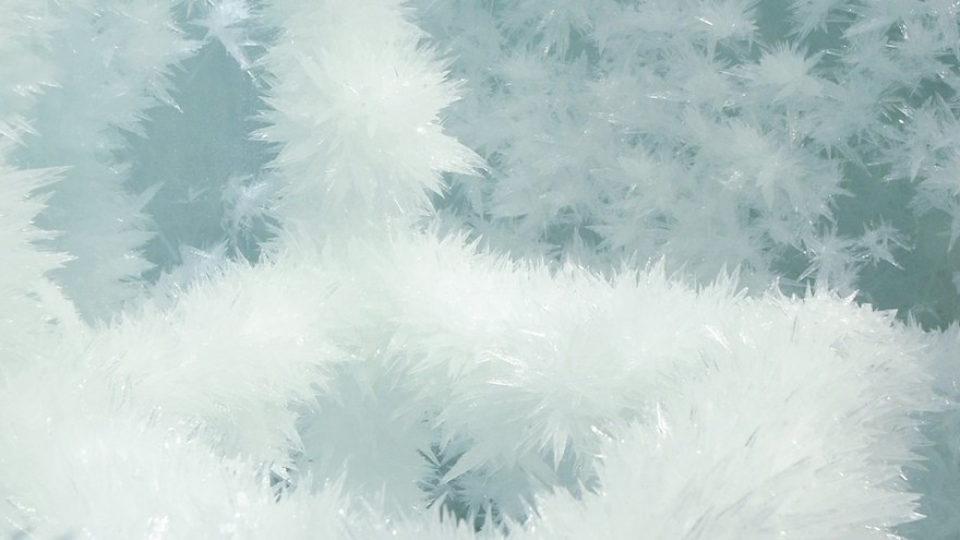Crystallize exhibition: Spider's Thread by Tokujin Yoshioka. 