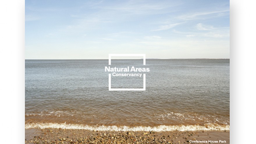 Natural Areas Conservancy of New York City identity by Paula Scher. 