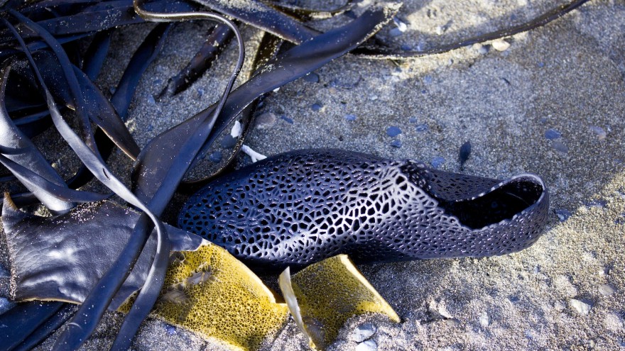 Technology and biology meet in the shoes cellular structure. Image: Earl Stewart. 