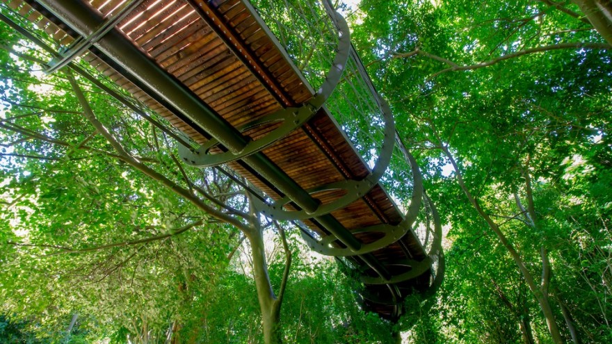 The Boomslang canopy walkway at Kirstenbosch Botanical Garden. Image: Adam Harrower.