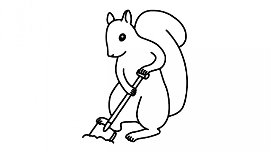 Did you know? Millions of trees in the world are accidentally planted by squirrels that bury nuts and do not dig them up.  