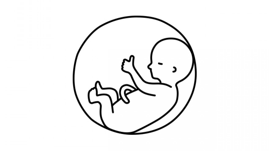 Did you know? A foetus only acquires fingerprints at the age of three months.