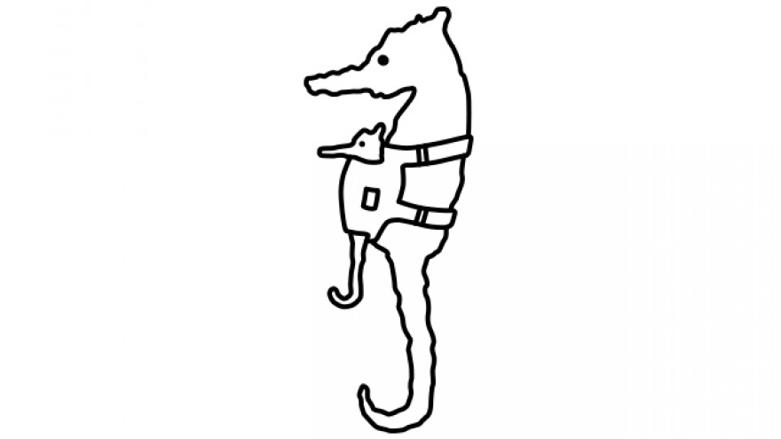 Did you know? A male seahorse carries the baby.