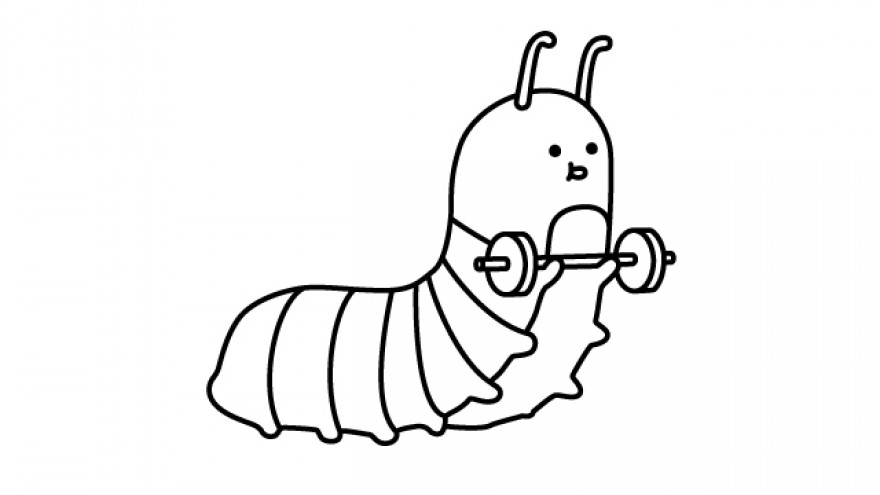 Did you know? Caterpillars have more muscles than humans.
