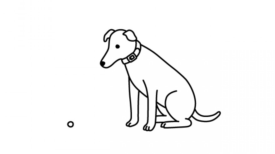 Did you know? Macadamia nuts are toxic to dogs.