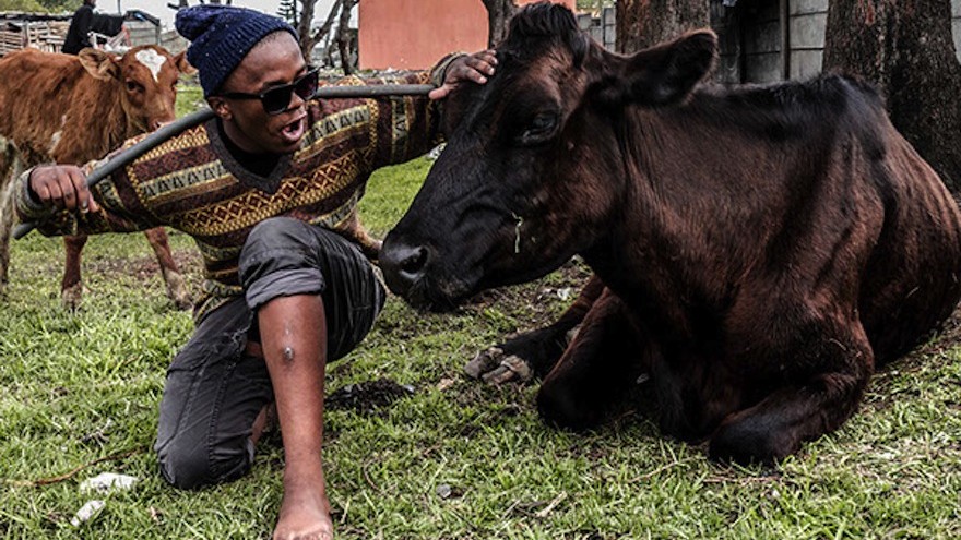 Mpongo's township portraits