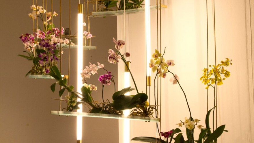 Flow is an indoor ecosystem designed by Begum and Bike Ayaskan, which mimics the sensory experience of nature.
