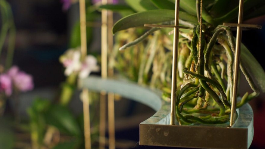 Flow is an indoor ecosystem designed by Begum and Bike Ayaskan, which mimics the sensory experience of nature.