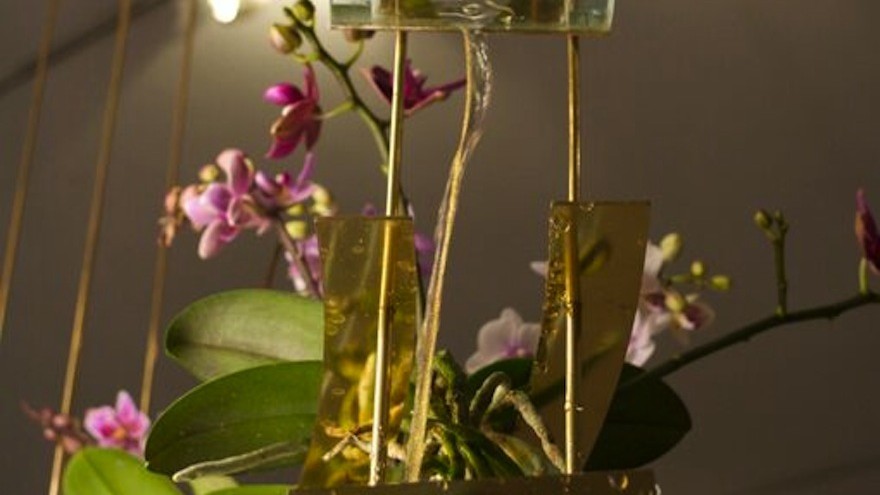 Flow is an indoor ecosystem designed by Begum and Bike Ayaskan, which mimics the sensory experience of nature.