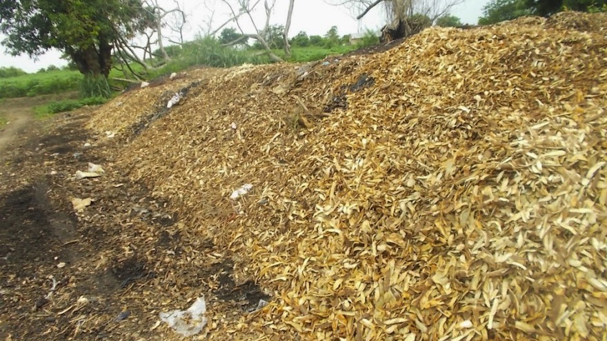 Cassava peels in Ghana