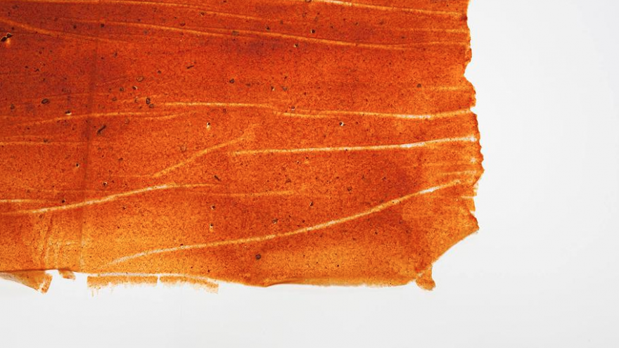 Original Rotterdam Fruitleather