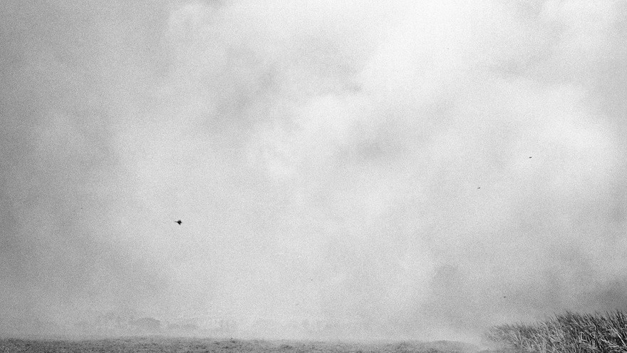 Jo Ratcliffe – "Burning field, Dombe Grande (diptych)"