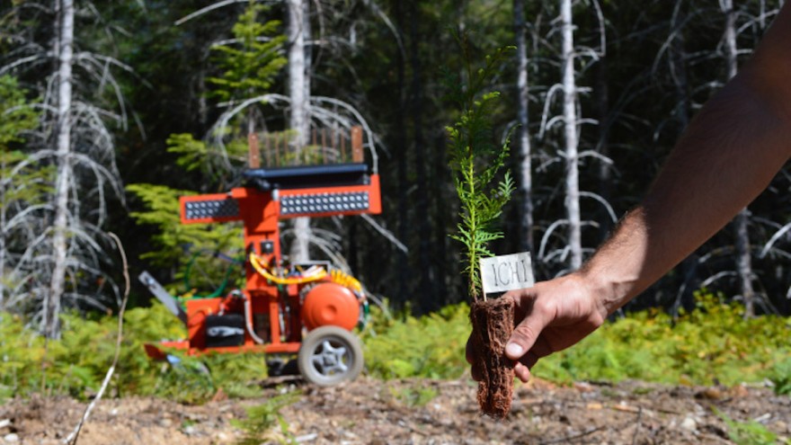 The TreeRover is an autonomous tree-planting robot. 