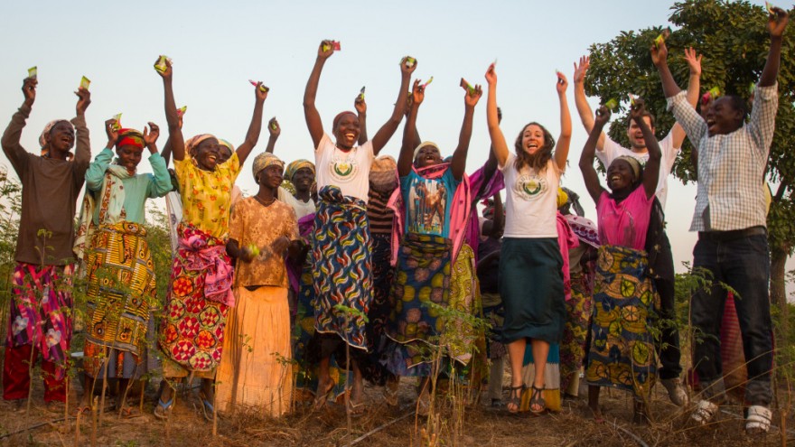 moringa the super food that could end hunger in zambia design indaba