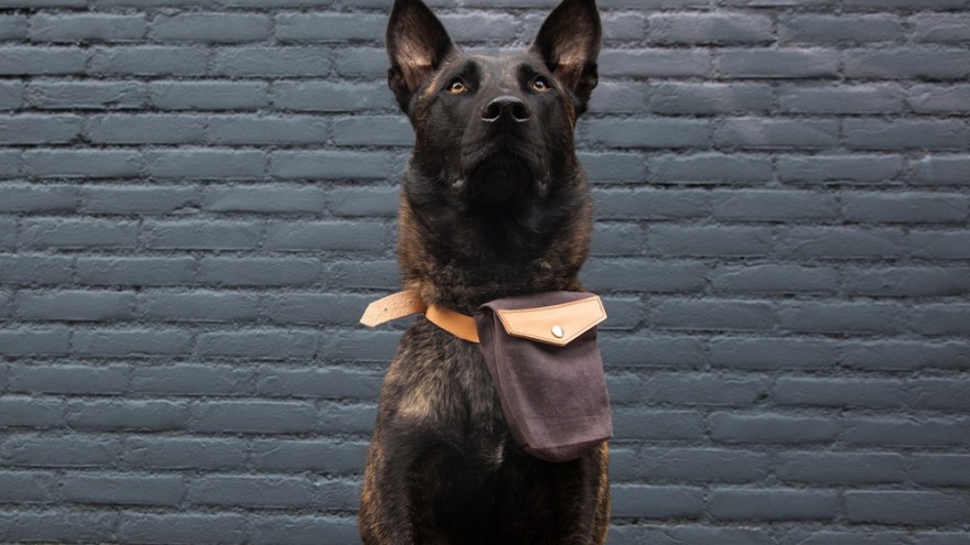 Design Academy Eindhoven student Archibald Godts considers the future of frail care where dogs become helpers to those too frail to care for themselves. 