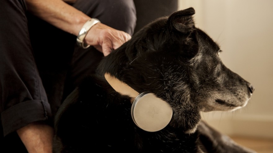 Design Academy Eindhoven student Archibald Godts considers the future of frail care where dogs become helpers to those too frail to care for themselves. 