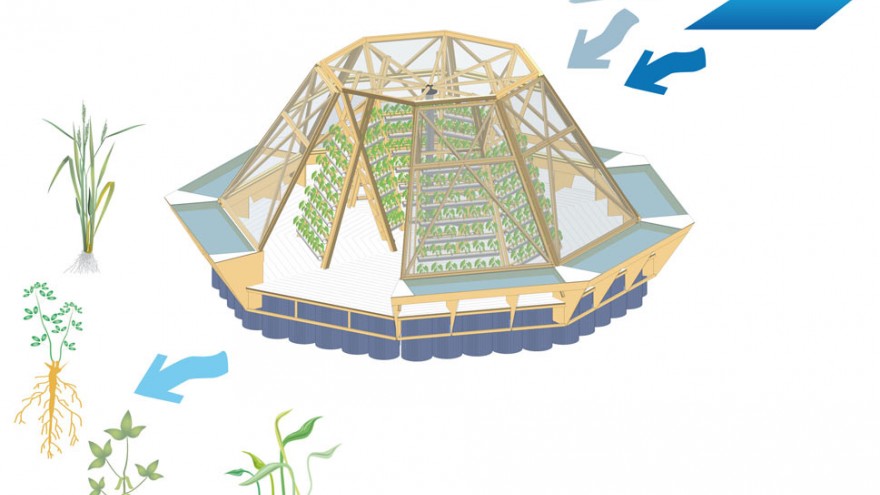 Italian think tank Pnat have designed modular, floating green houses called JellyFish Barges that could help solve food security problems