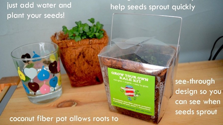 Takeout container turned mini-greenhouse makes growing food easy.