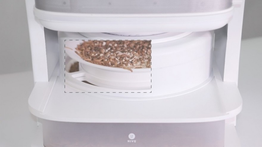 Farming your own mealworms could be a reality with this desktop farm.
