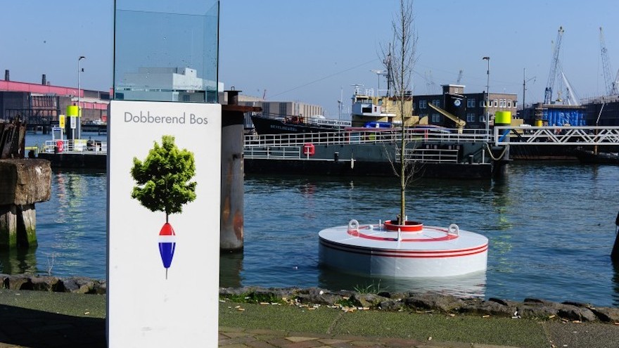 Dobberend Bos