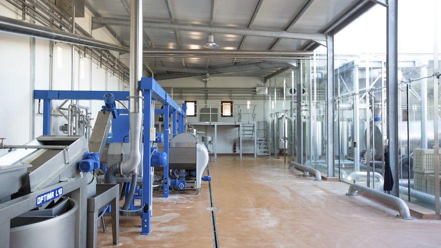 Modern Italian-built olive press