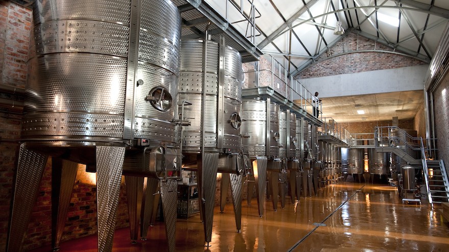 Wine cellar, Babylonstoren