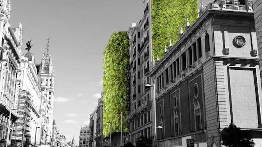 Madrid + Natural