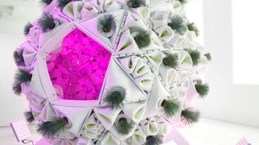 Plug-In Ecology & The Urban Farm Pod