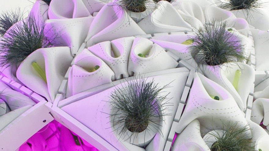 Plug-In Ecology & The Urban Farm Pod