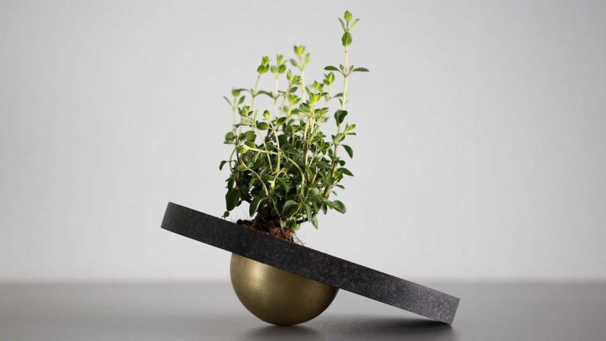 ZWANG: Concept Planiture by Berlin-based designer Marlen Häselbarth