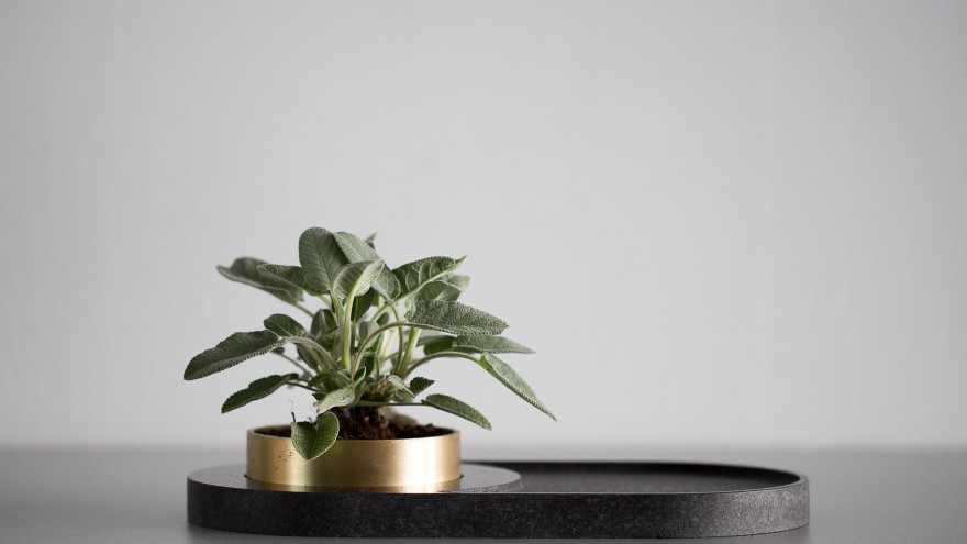 NUDGE: Concept Planiture by Berlin-based designer Marlen Häselbarth