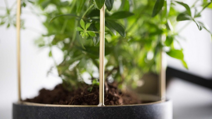 GAMIFICATION: Concept Planiture by Berlin-based designer Marlen Häselbarth