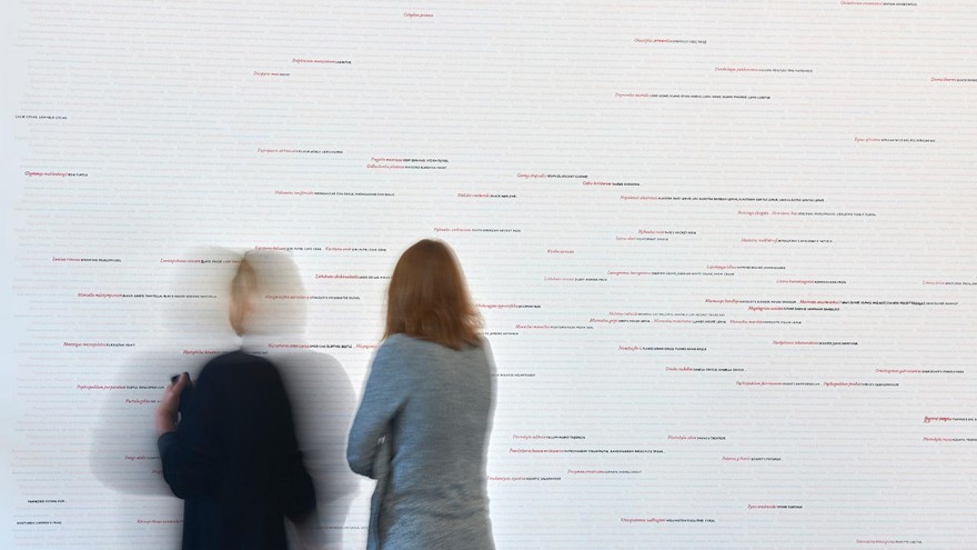 Seeing Red..Overdrawn exhibition