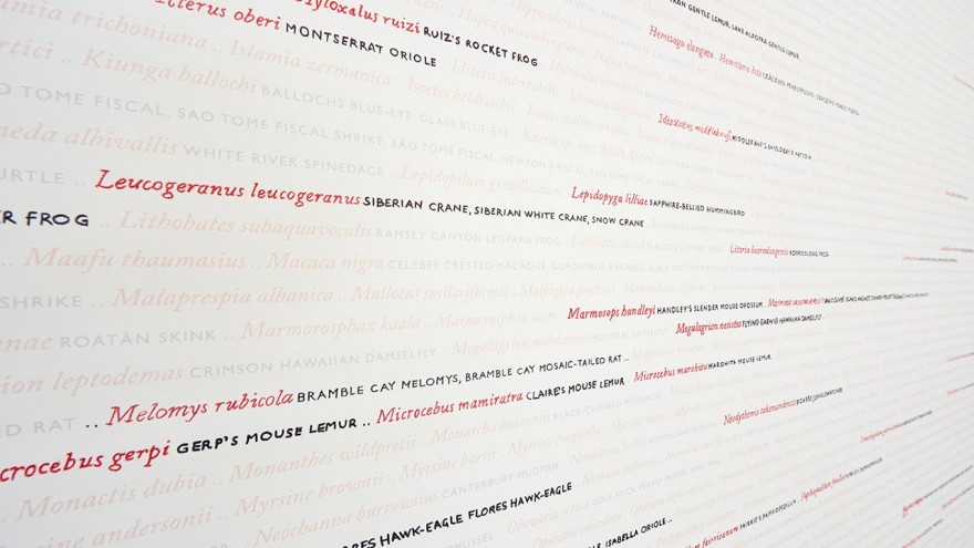 Permanent markers highlight the species' names 