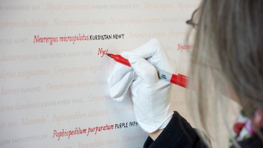 Visitors contribute to Seeing Red..Overdrawn by highlighting the names of species 