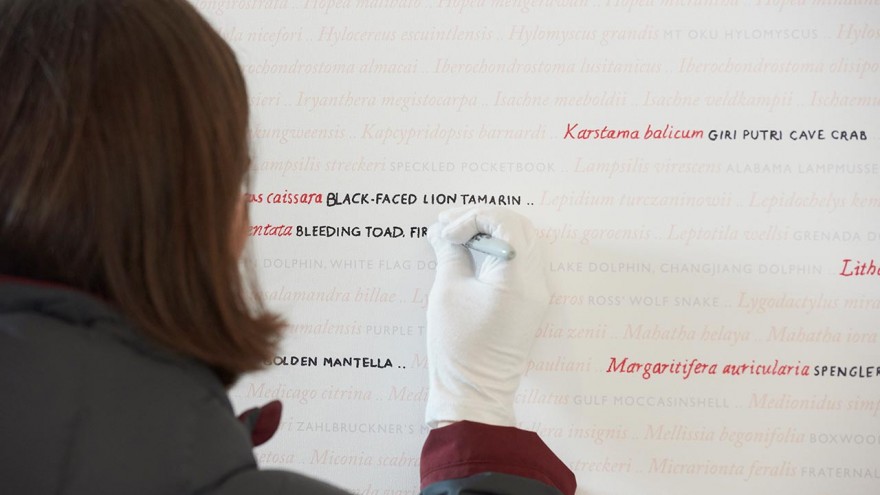 Visitors contribute to the Seeing Red..Overdrawn exhibition