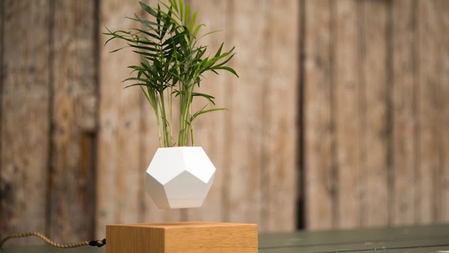 The zero gravity Lyfe planter