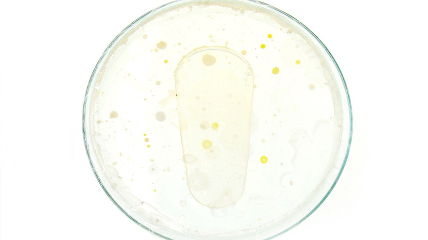 Bacteria grown sanitary pads to heal infection 